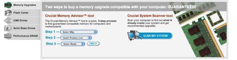 crucial memory scan not working.